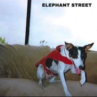 Spiderhouse - Elephant Street