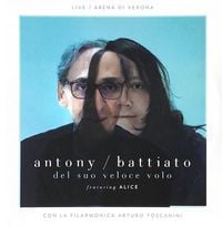 Franco Battiato - Del suo veloce volo