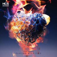 Josh Rubin - Playing with Fire