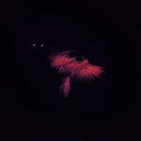 Yayu - "watch me" EP