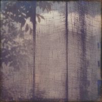 Wil Bolton - Swept