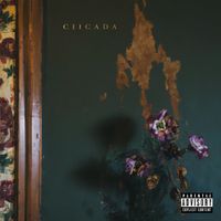 MIKE SUMMERS - CIICADA