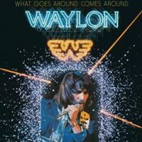 Waylon Jennings - What Goes Around Comes Around