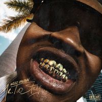 Wizz Havinn - Mr. Too Sticky