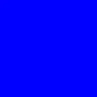 Sea Turles Aren&rsquo;t Real - The Blue Tape