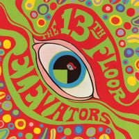 The 13th Floor Elevators - The Psychedelic Sounds of the 13th Floor Elevators