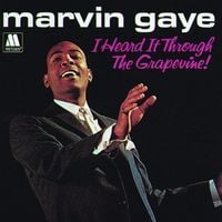 Marvin Gaye - I Heard It Through the Grapevine