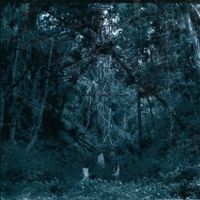 Cohol - Rigen - 裏現