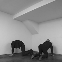 Sprain - Privilege of Being