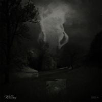 SSGKobe - Willows