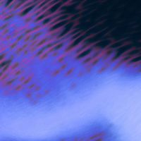 Patrick Holland - Ending With 1000