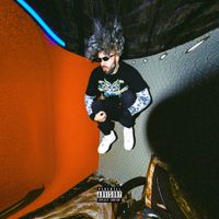 WHO SHOT SCOTT - LONERS ANTHEM