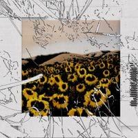Scro - on my own
