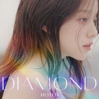 Rothy - Diamond