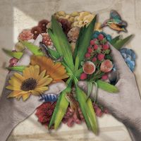 Jizue - Biotop