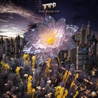 Tripp St. - The Rose