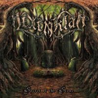 Hexenklad - Spirit of the Stone