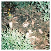O Morto - Ifrits Habitent