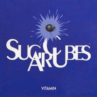 The Sugarcubes - Vitamin