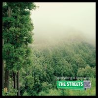 The Streets - Everything Is Borrowed