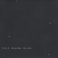 細野晴臣 [Haruomi Hosono] - N . D . E
