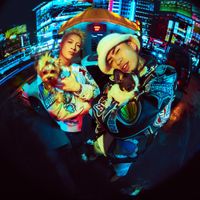 马思唯 [MaSiWei] - 狗咬狗