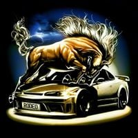 anice - rodeo