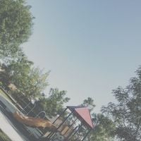 Jinsang - Kona Park