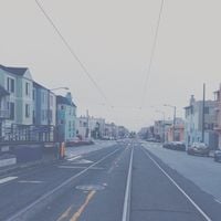 Jinsang - Gratitude.