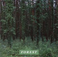 Driver - Forest