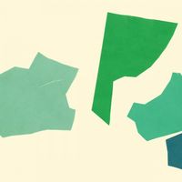 Rob Shields - Green