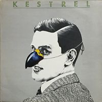Kestrel - Kestrel