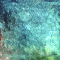 Hirotaka Shirotsubaki - Perfect Days For Suicide
