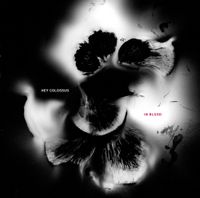 Hey Colossus - In Blood