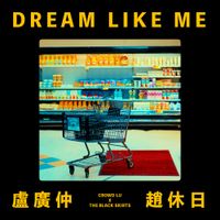 검정치마 [The Black Skirts] - DREAM LIKE ME