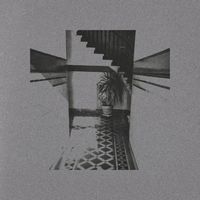 The Cherry Wave - Shimaru