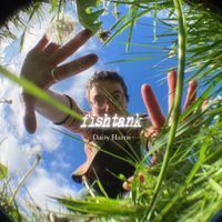 Daisy Harris - Fish Tank