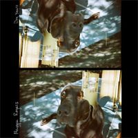 Maggie Rogers - Dog Years