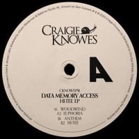 Data Memory Access - Hi-Tee