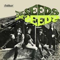 The Seeds - The Seeds