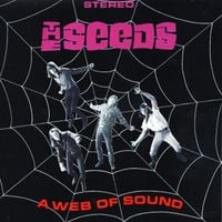 The Seeds - A Web of Sound