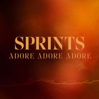 SPRINTS - Adore Adore Adore
