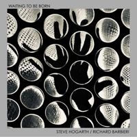 Steve Hogarth And Richard Barbieri - Waiting To Be Born