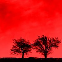 Jon Allen - Paranoia Blues