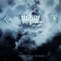Reg3n - Perpetual Bloom