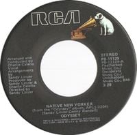 Odyssey - Native New Yorker