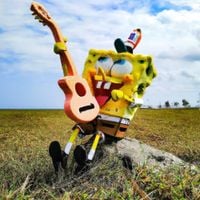 BOI WHAT - Just a Pineapple