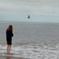 Stygian Hollow - Chanonry Point