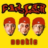 FIDLAR - Nookie