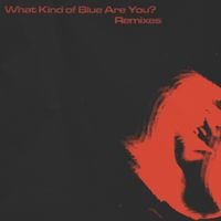 Winter - What Kind Of Blue Are You? Remixes